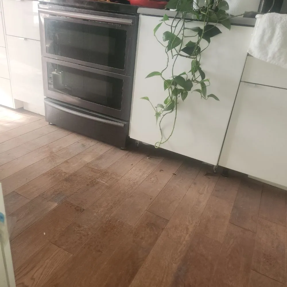 Slide of Mr.Fix It Restoration