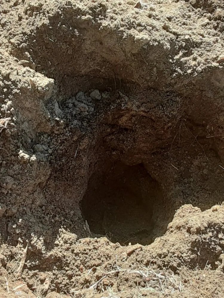 Professional leak detection for homes in Bethune, SC by MR's Repair