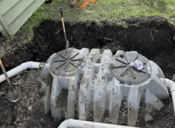 Slide of Ms Bell's Services