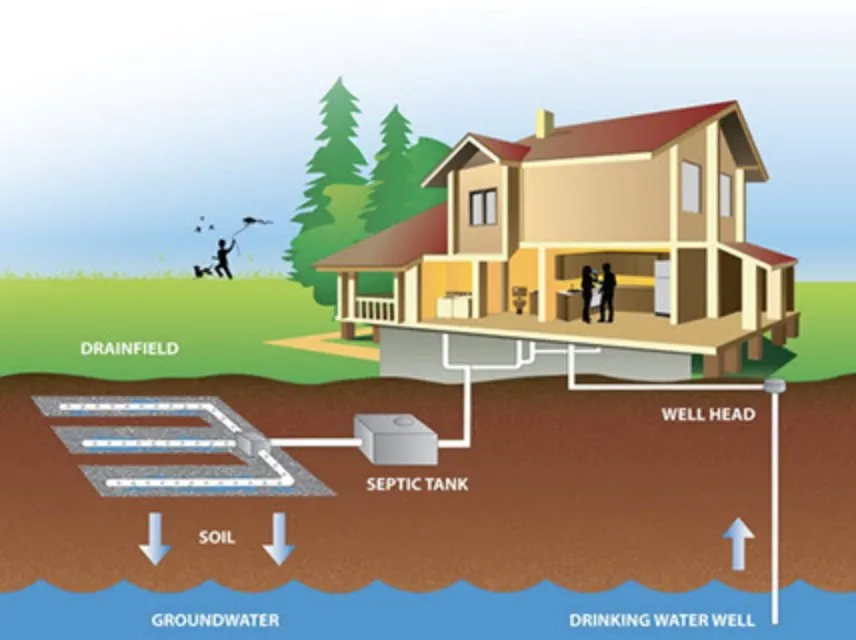 Slide of Ms Bell's Services