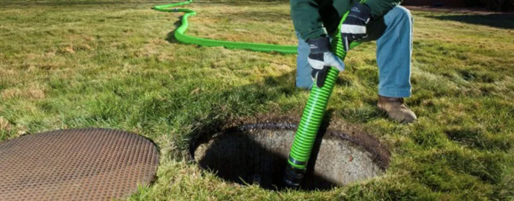 Slide of Ms Bell's Services