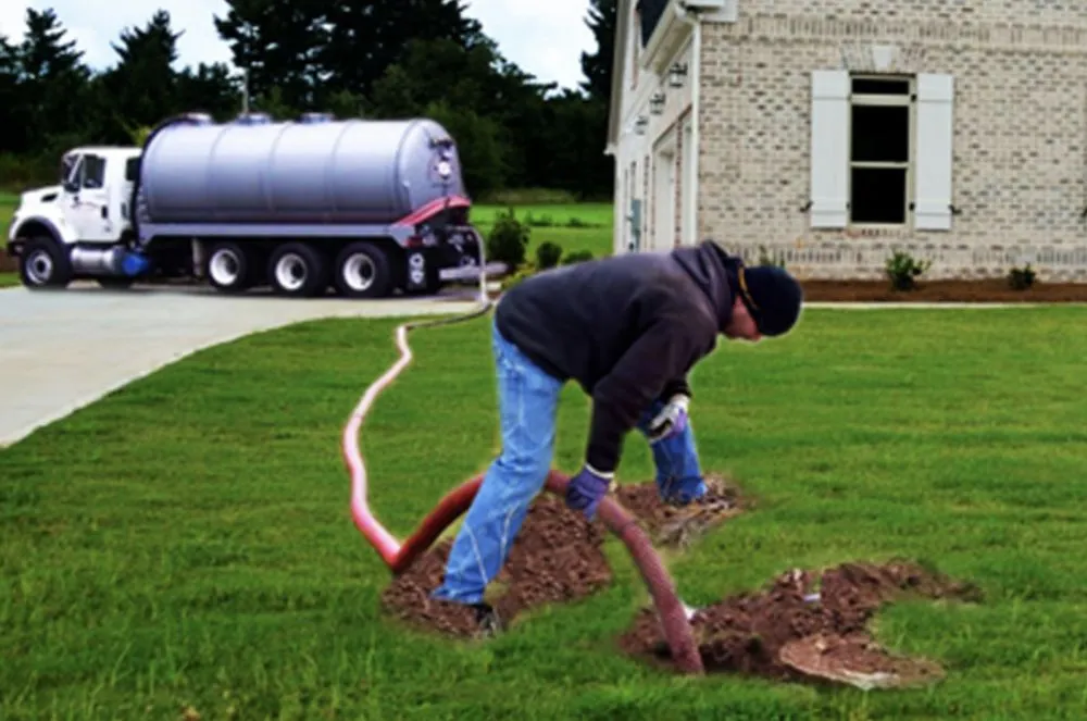 Slide of Ms Bell's Services