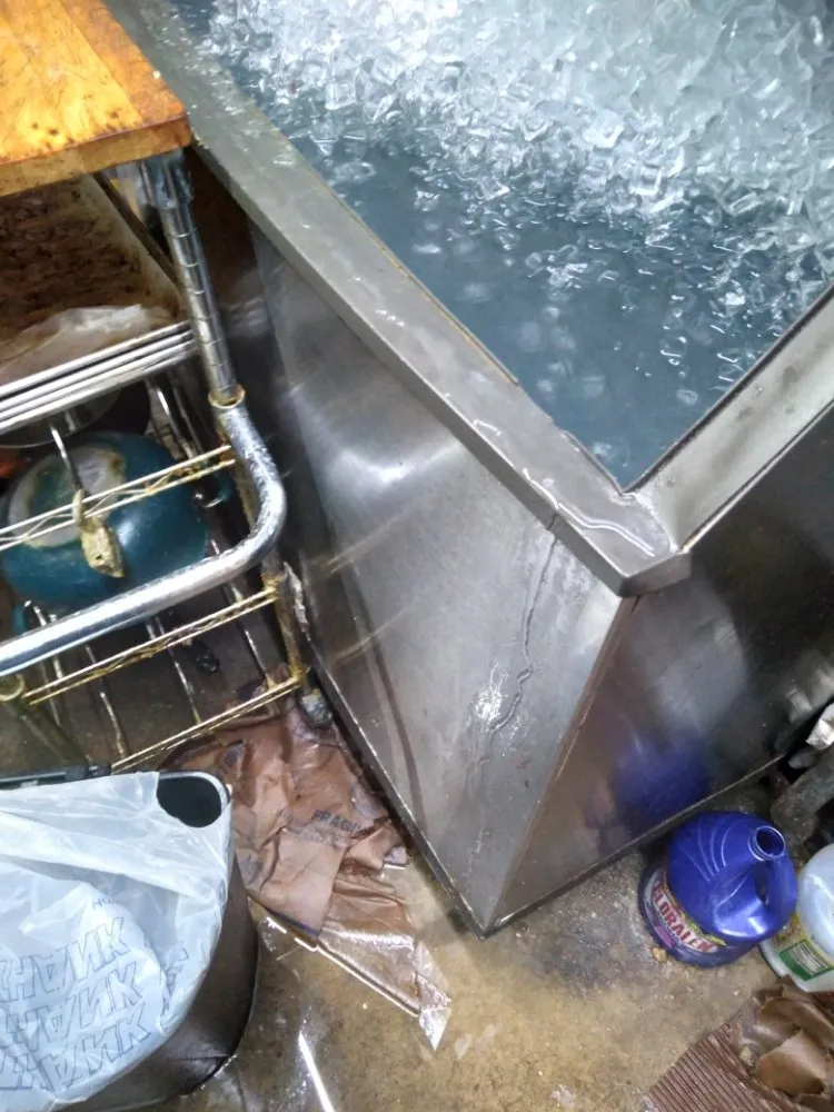 Slide of Ms Bell's Services