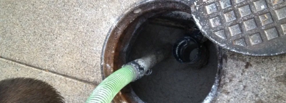 Slide of Ms Bell's Services