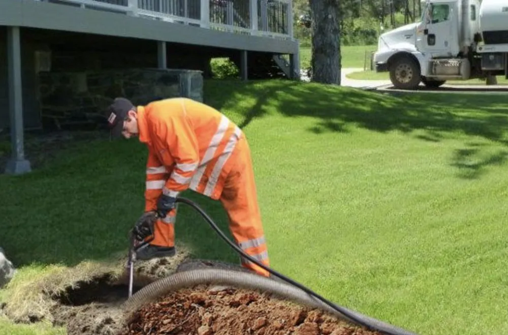 Slide of Ms Bell's Services