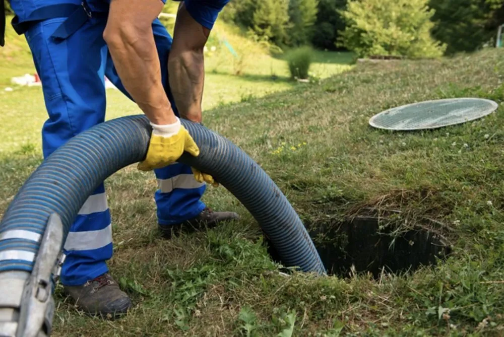 Slide of Ms Bell's Services