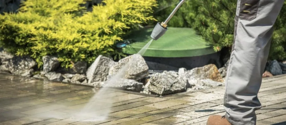 Slide of Ms Bell's Services