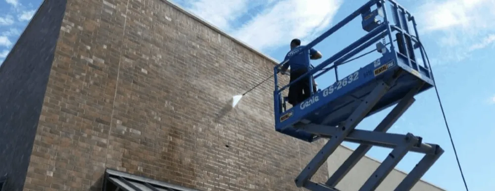 Slide of Ms Bell's Services