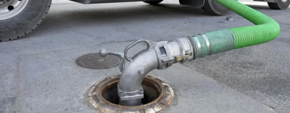 Slide of Ms Bell's Services