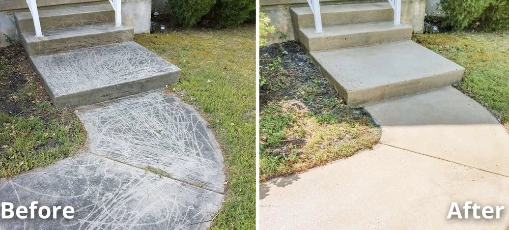 Slide of Ms Bell's Services