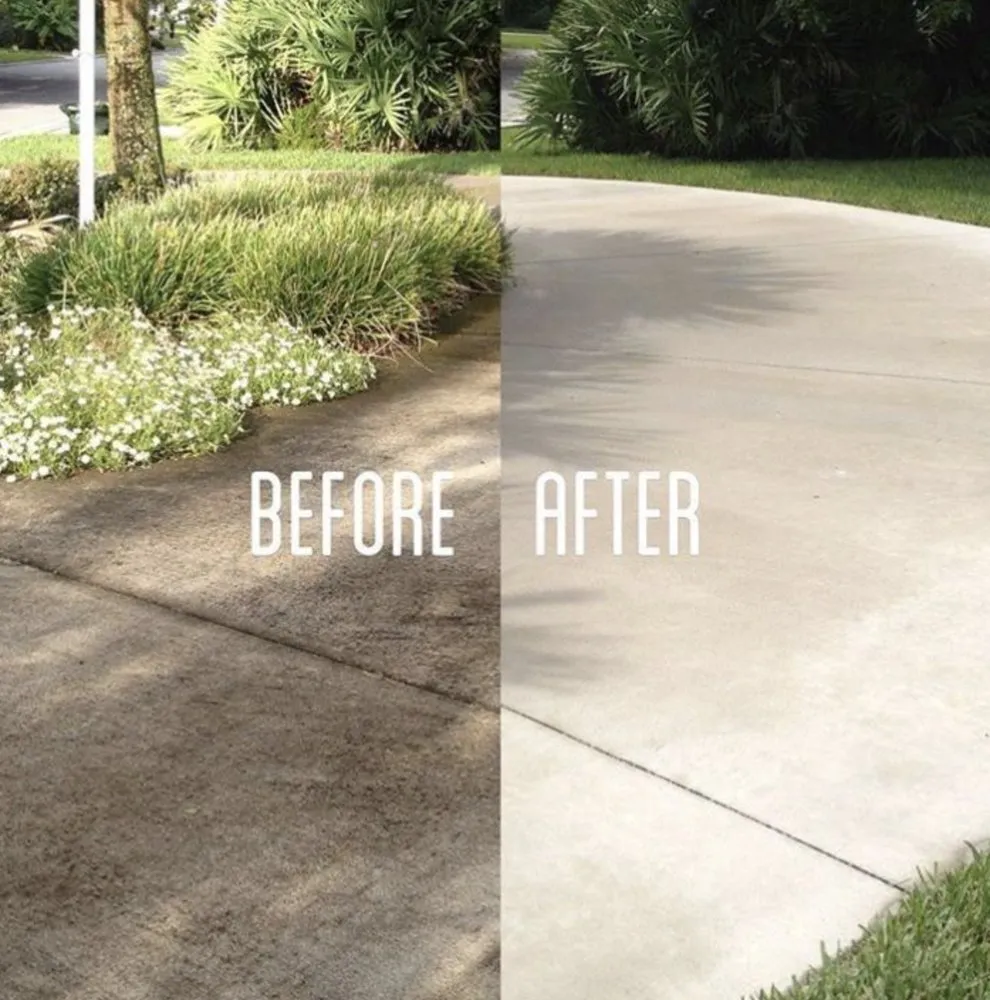 Slide of Ms Bell's Services