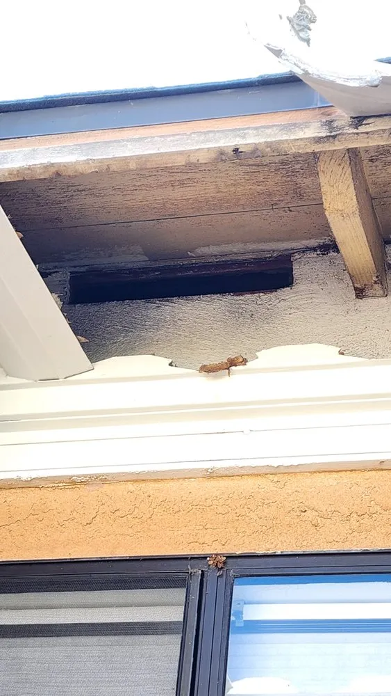 Slide of MS Handyman