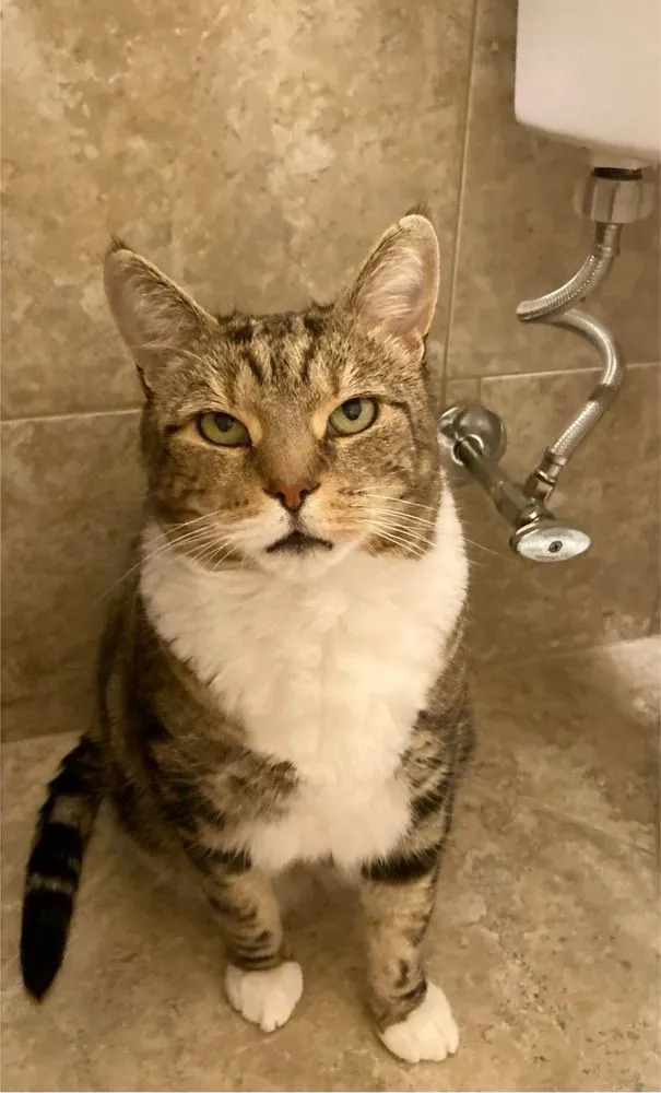 Slide of Ms Plumbing Corp