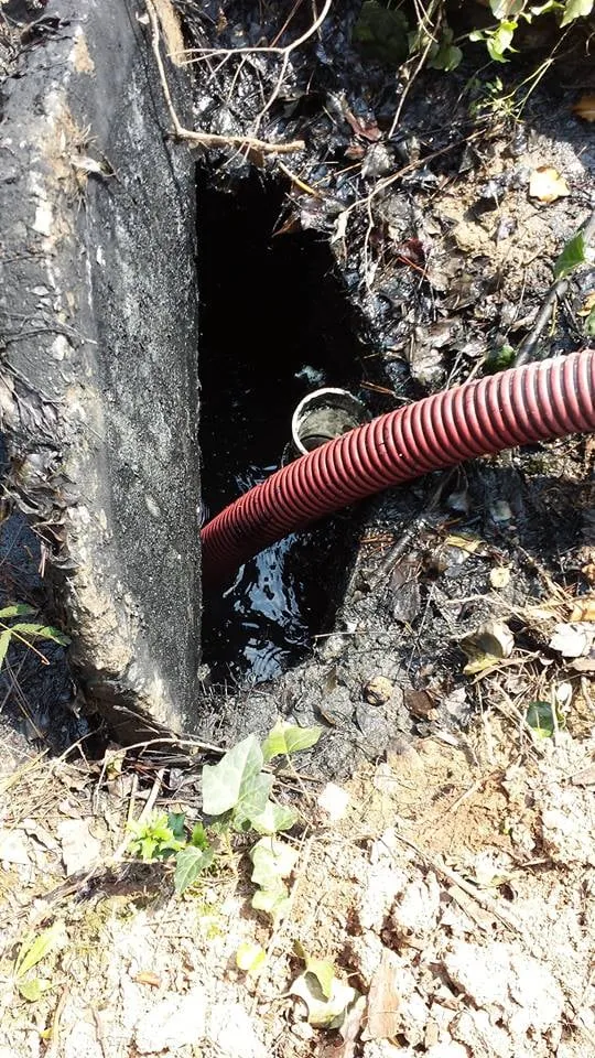 Slide of Ms Rooter Septic & Drain