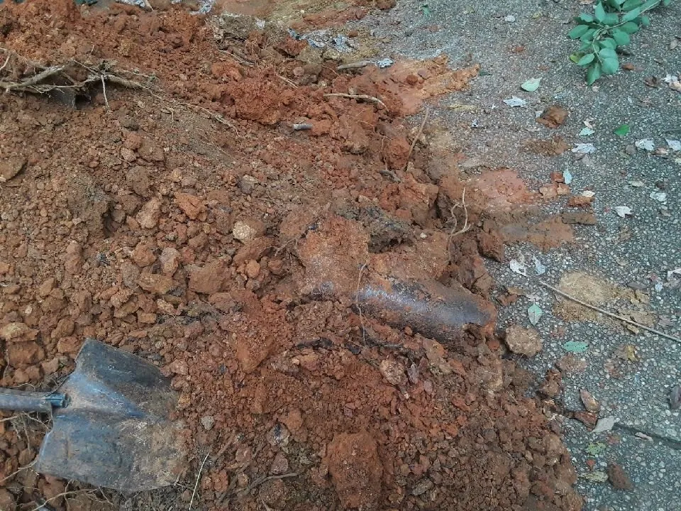 Slide of Ms. Rooter Septic and Drain