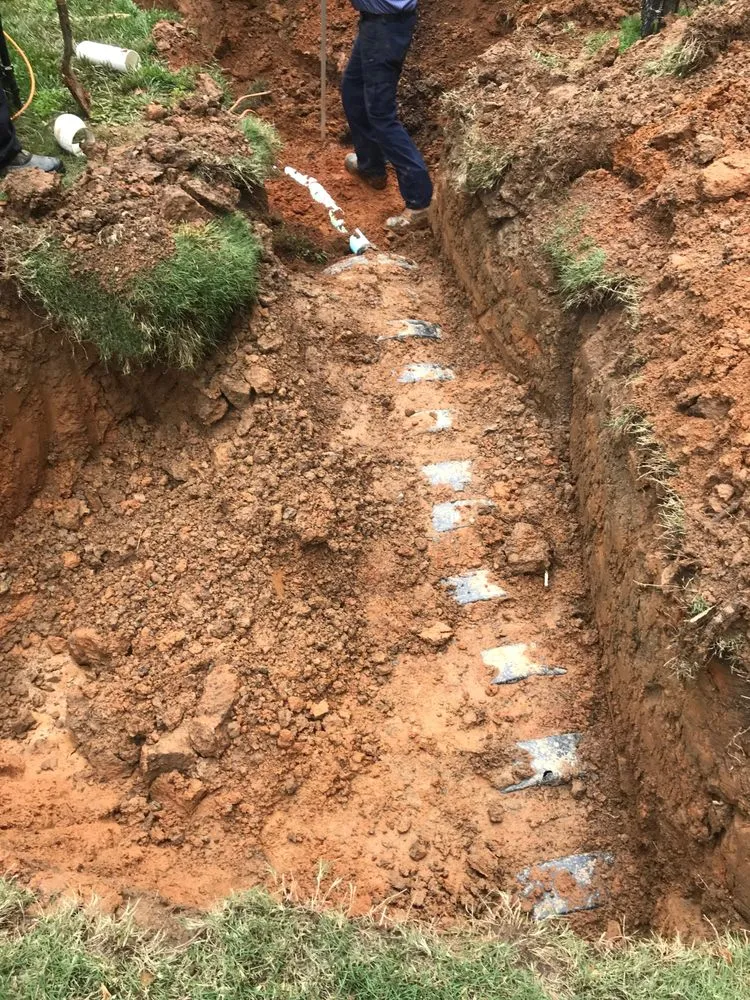 Slide of Ms. Rooter Septic and Drain