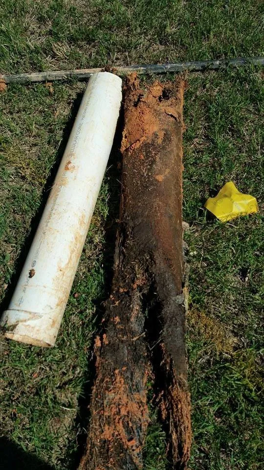 Slide of Ms. Rooter Septic and Drain