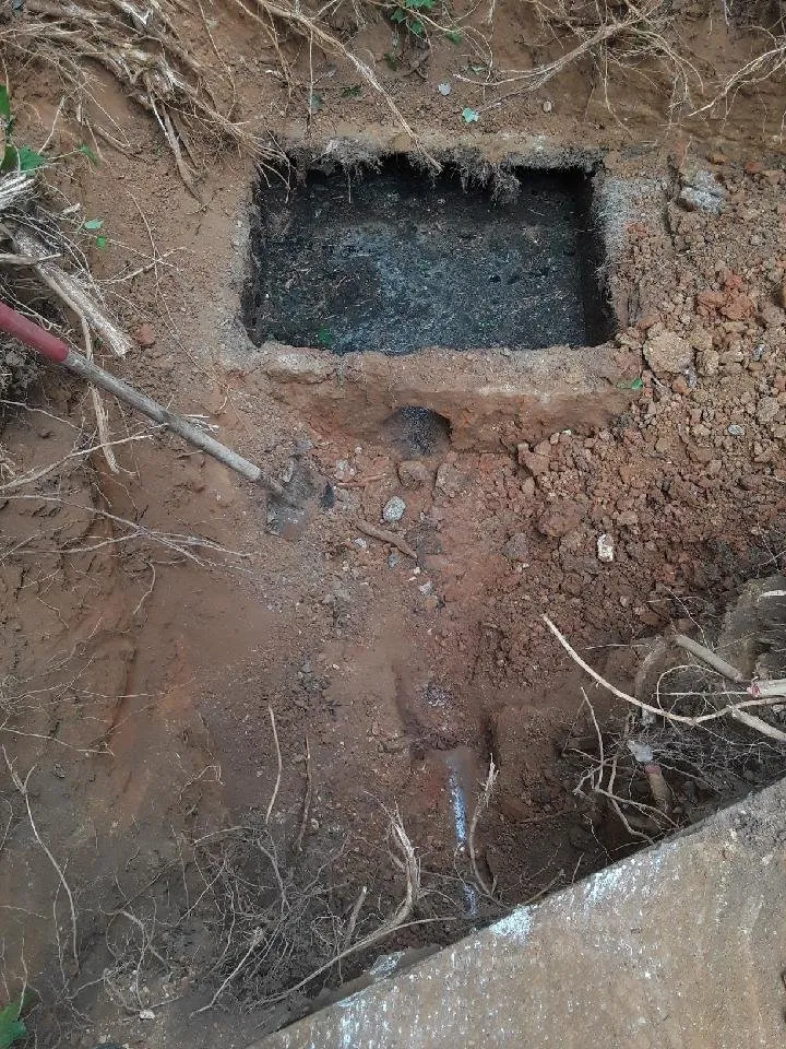 Slide of Ms. Rooter Septic and Drain