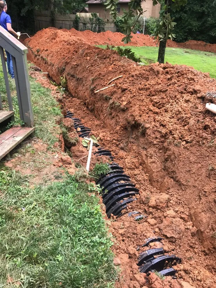 Slide of Ms. Rooter Septic and Drain