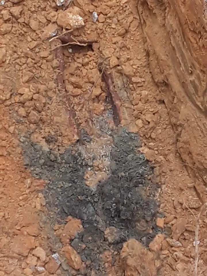 Slide of Ms. Rooter Septic and Drain