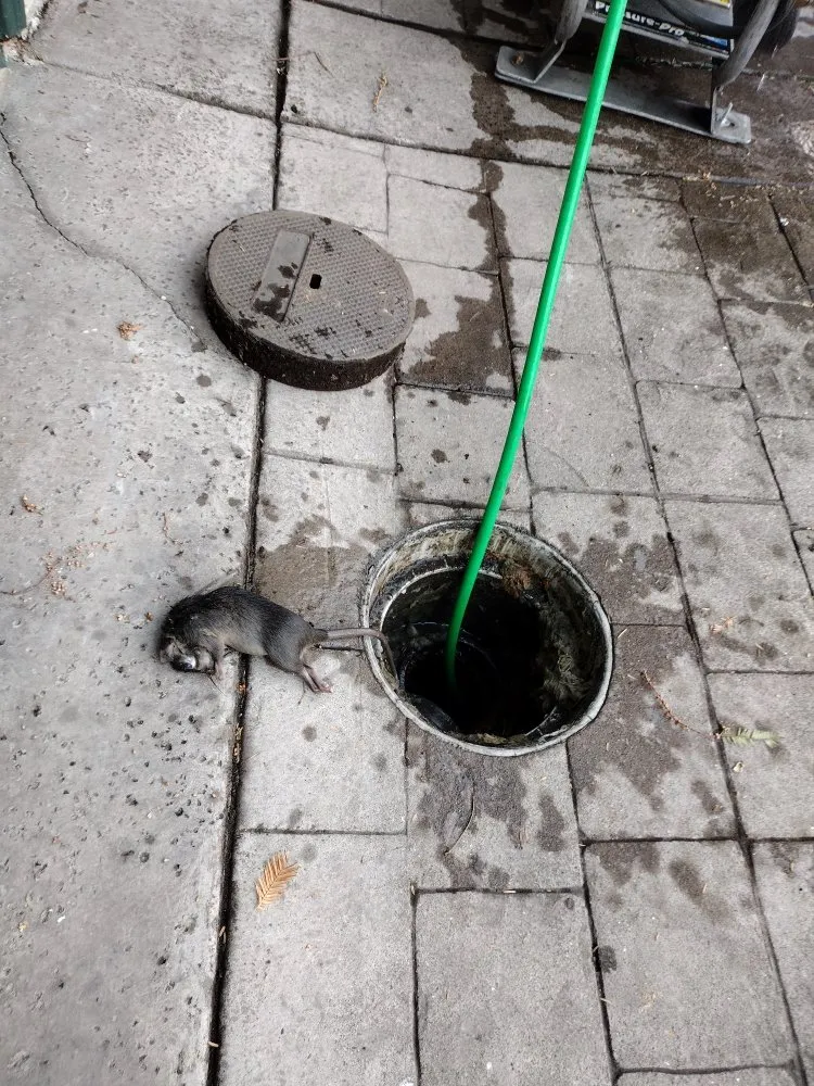 Slide of MSK Plumbing