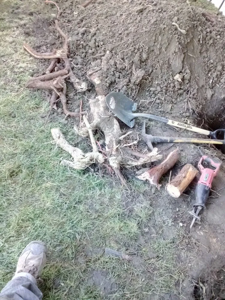 Slide of MSK Plumbing