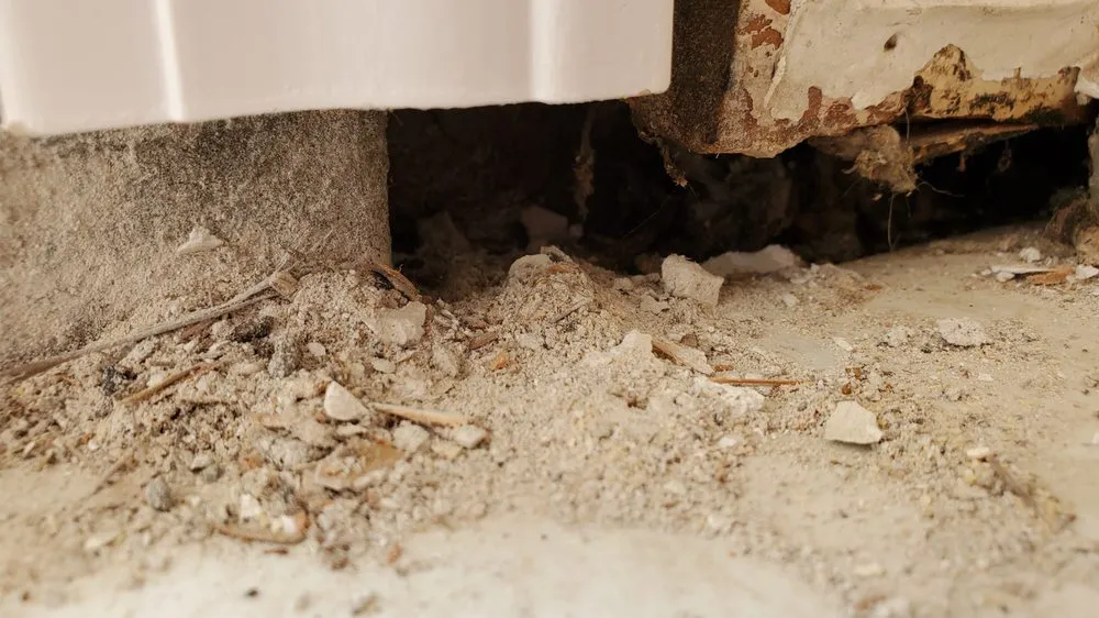 Expert leak detection for homes in Walled Lake, MI by Multi Lakes Handyman Services