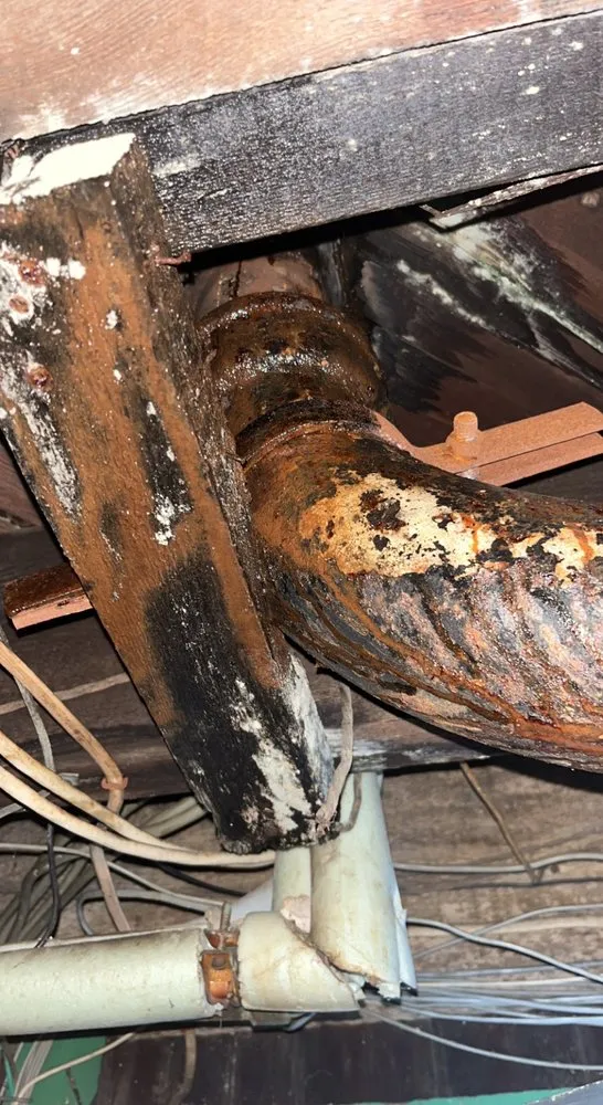 Affordable drain cleaning for homes in Havertown, PA by Mungavins Plumbing