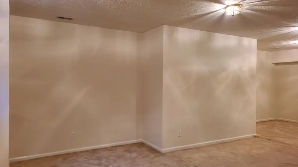 Slide of Munoz Pro's Painting