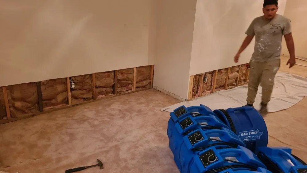 Slide of Munoz Pro's Painting