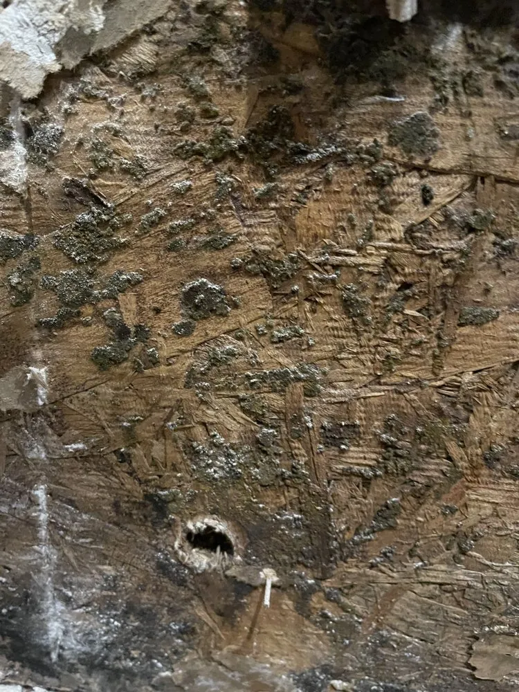 Slide of Murphy & Sons Plumbing