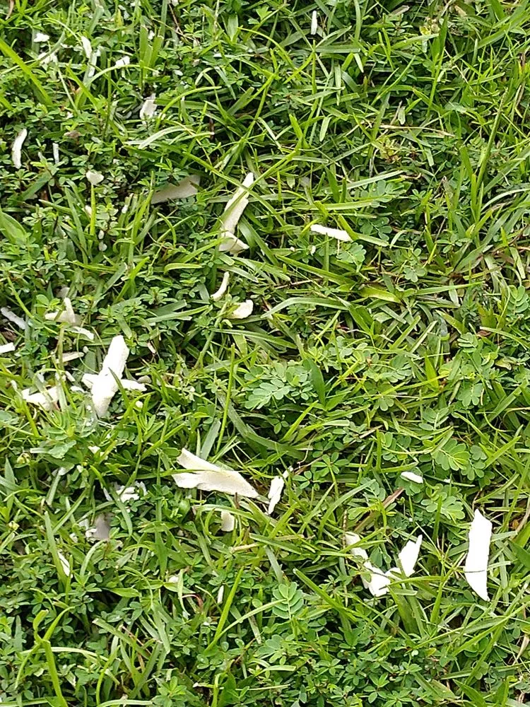 Slide of Musso Plumbing Company