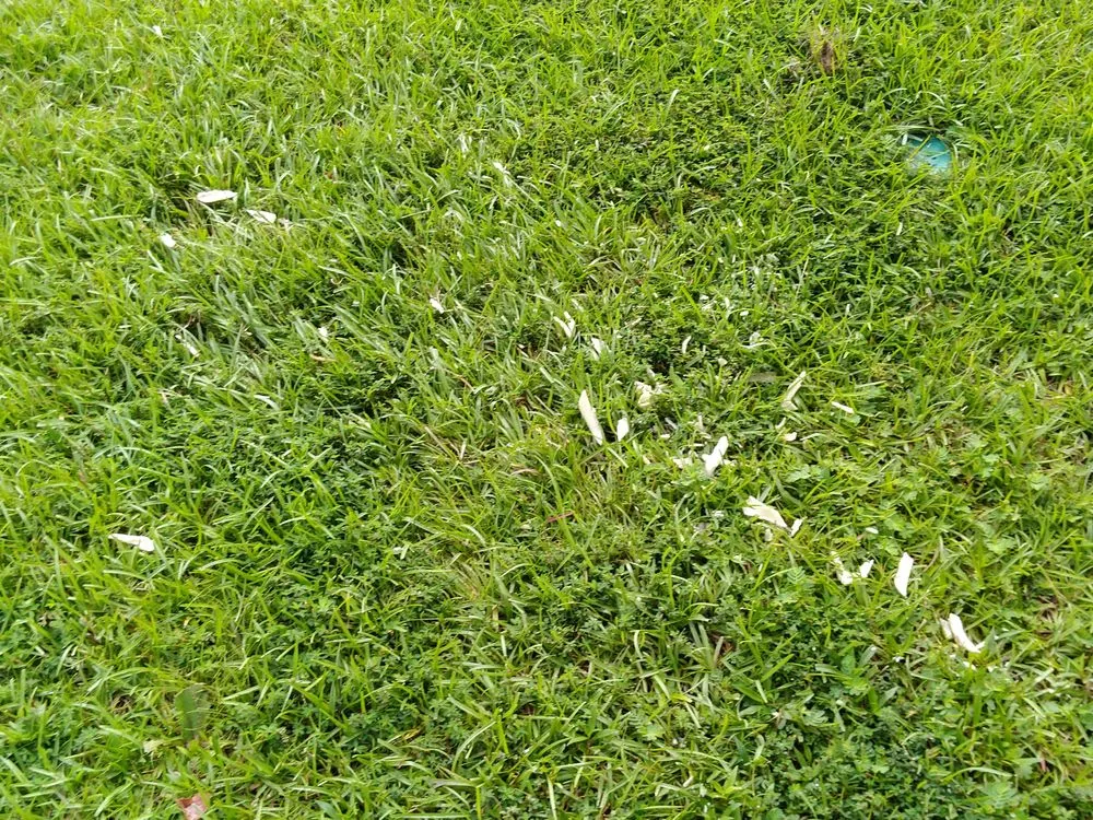 Slide of Musso Plumbing Company