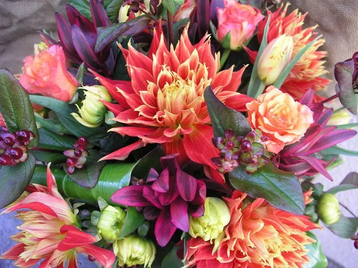 Slide of MVP Plumbing & Drain Services