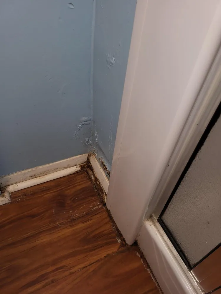 Slide of My Castle Restoration