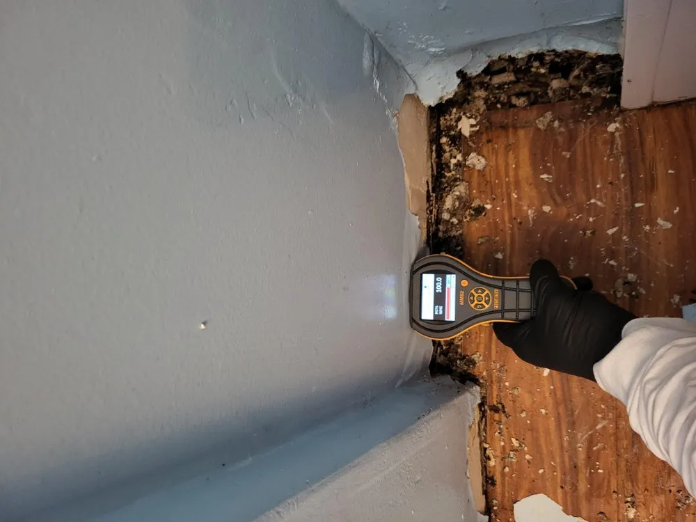 Slide of My Castle Restoration