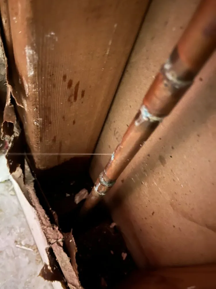 Slide of My Drain Company