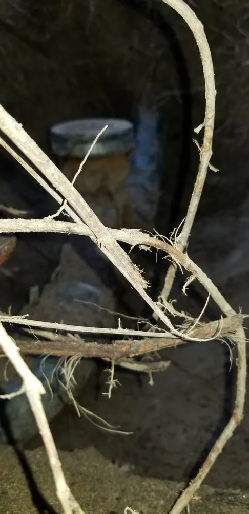 Slide of My Drain Service Pro