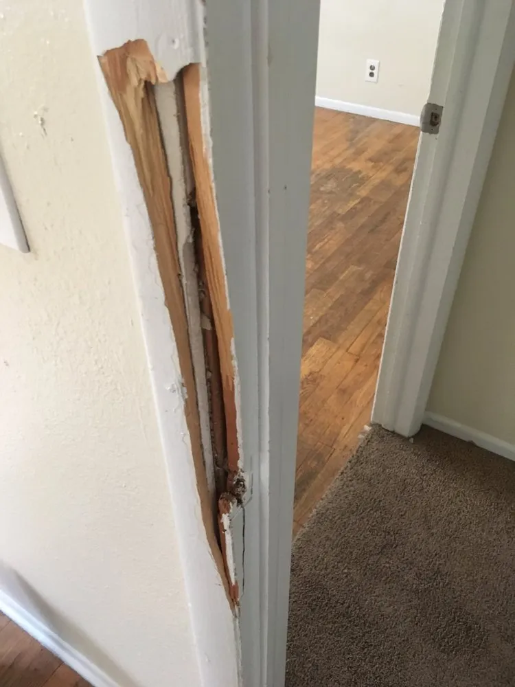 Slide of My Go 2 Guy