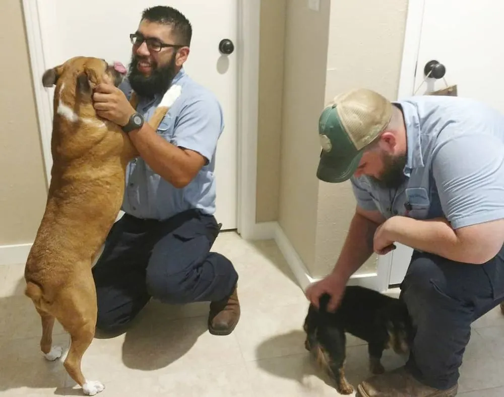 Slide of My Local Plumber