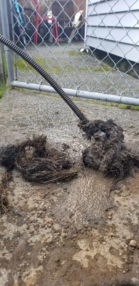 Slide of My PhD Services