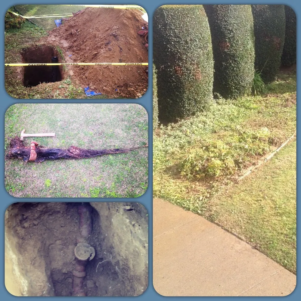 Slide of My Plumber Friend