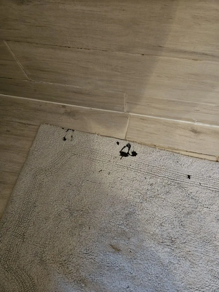 Professional emergency plumbing service in Fairfax, VA - My Plumber Plus