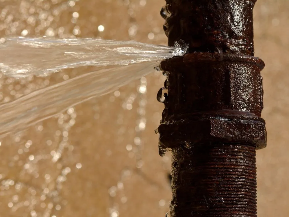 Slide of My Stellar Services