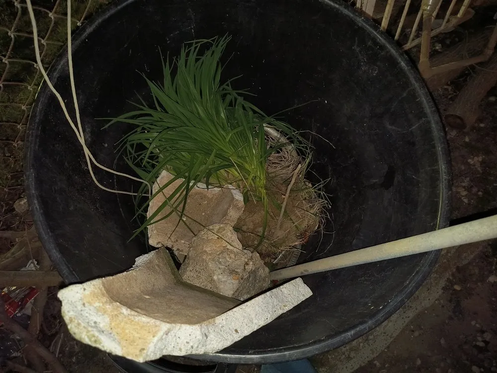 Slide of MyGuy Plumbing & Drain