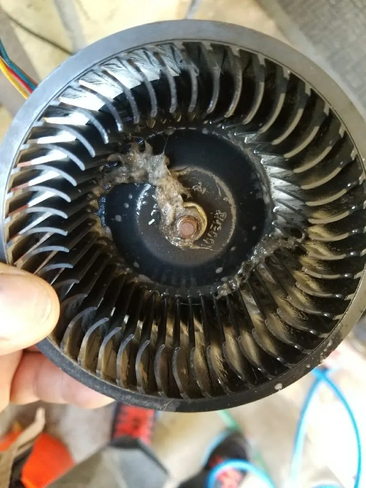 Trusted plumbing repair for homes in Bakersfield, CA by MZ Plumbing 4 You