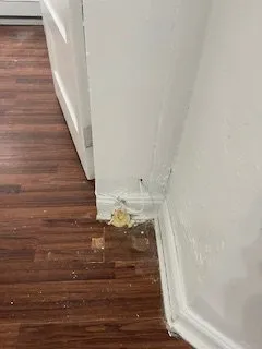 Emergency emergency plumbing experts serving Bronx, NY - N B J Maintenance