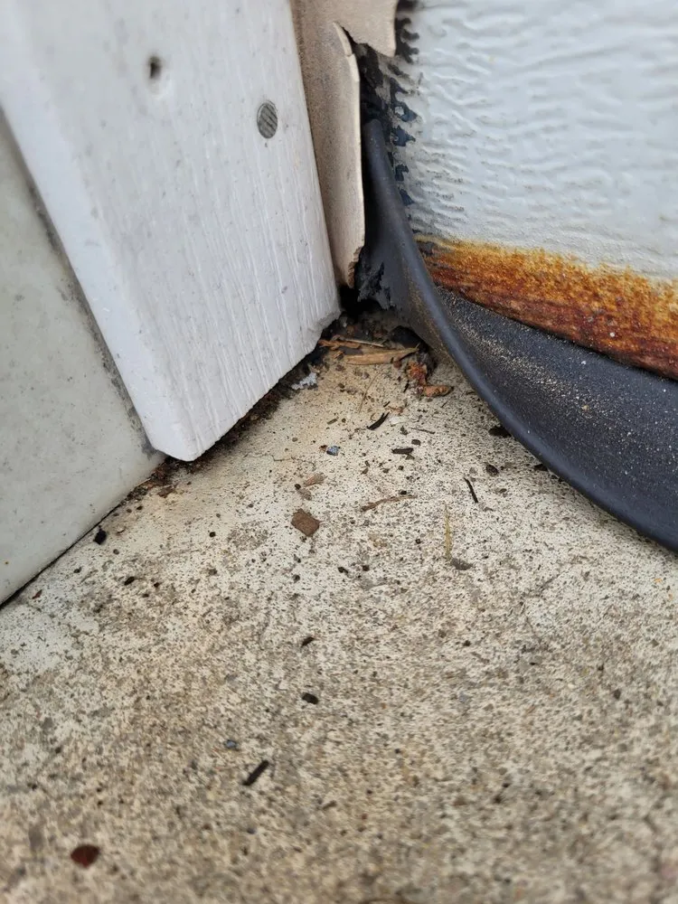 Slide of Nail It Handyman