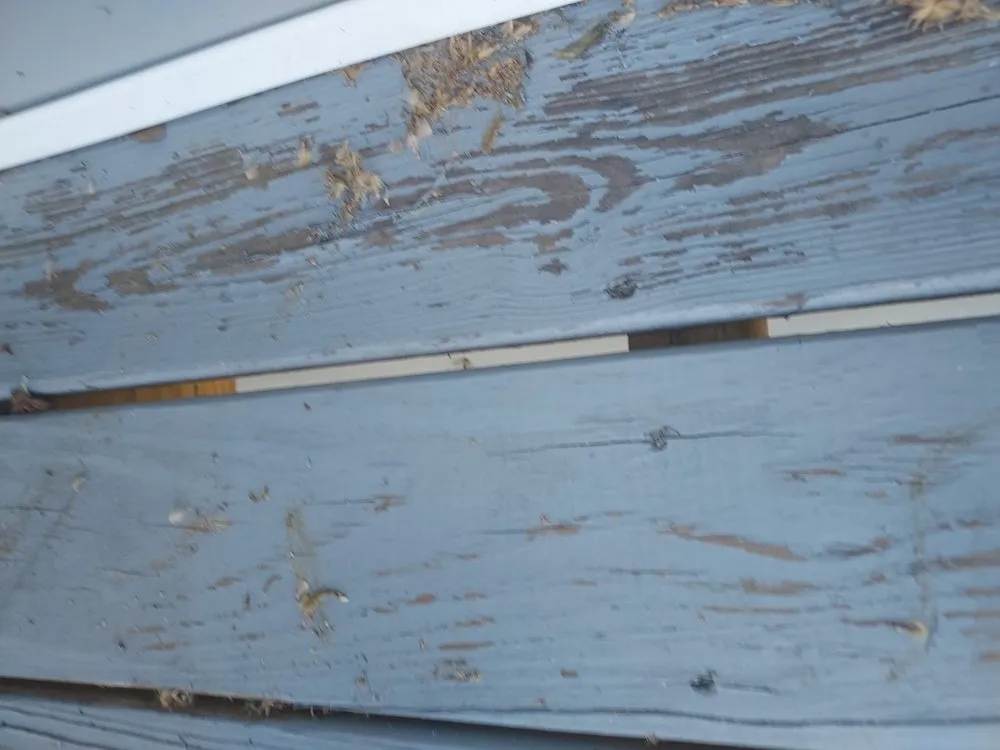 Slide of Nail It Handyman