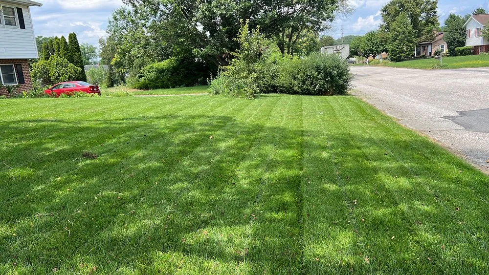 Slide of Naldo’s Handy Services